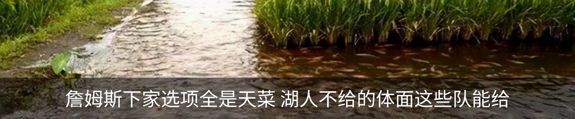 内页banner
